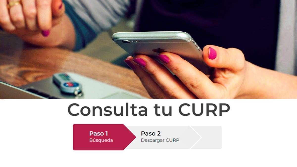 Paso 2: Ingresa al sitio web oficial de la CURP