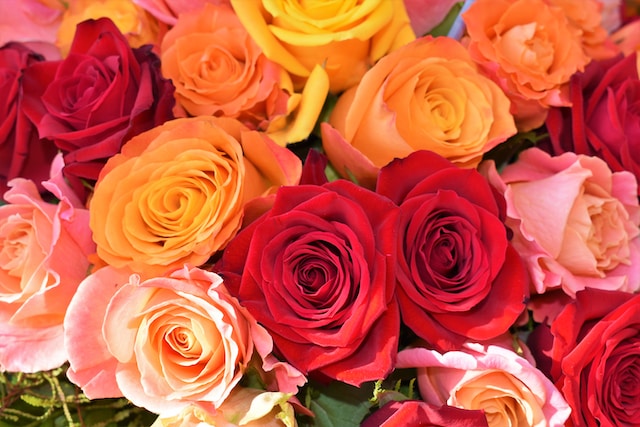 información para adornar tu casa con rosas